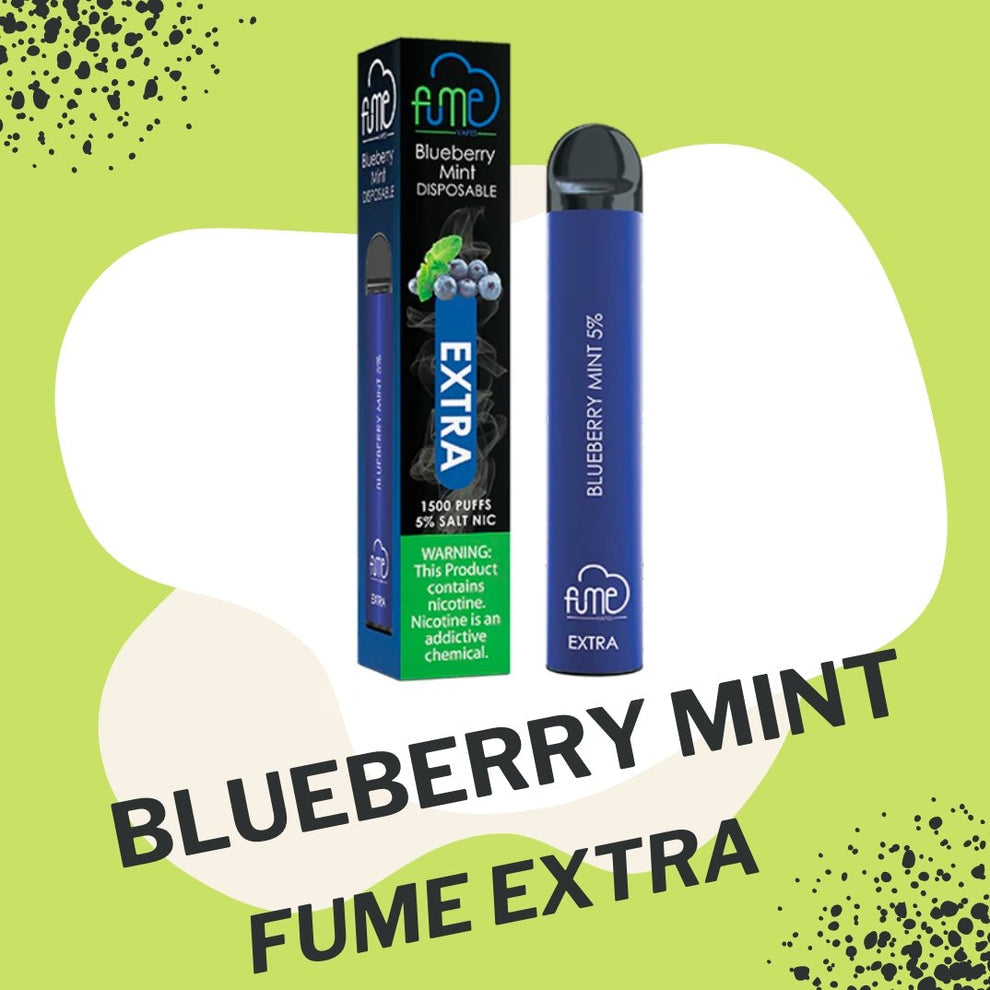 Fume Extra Blueberry Mint
